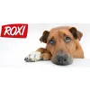ROXI KARES makaron z warzywami 3kg PIES Makaron BŁYSKAWICZNY dla Psa Karma