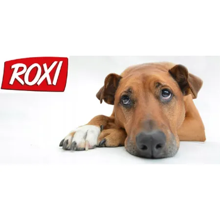 ROXI KARES makaron z warzywami 3kg PIES Makaron BŁYSKAWICZNY dla Psa Karma