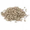 ELMAR Słonecznik łuskany 100g