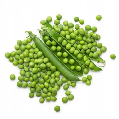 NOVELLE Makaron 100 % MĄKI Z ZIELONEGO GROSZKU 250g zielony groszek